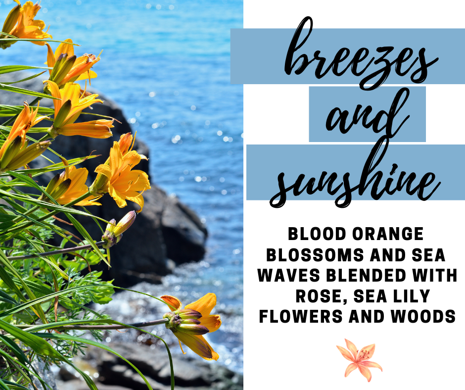 Breezes and Sunshine Soy Wax Candle