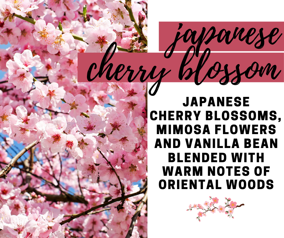 Japanese Cherry Blossom Fragrance Oil - Potpourri Refresher Oils - 1 oz (30 ml) Concentrated Fragrance Oils - Glass Amber Bottle with Dropper