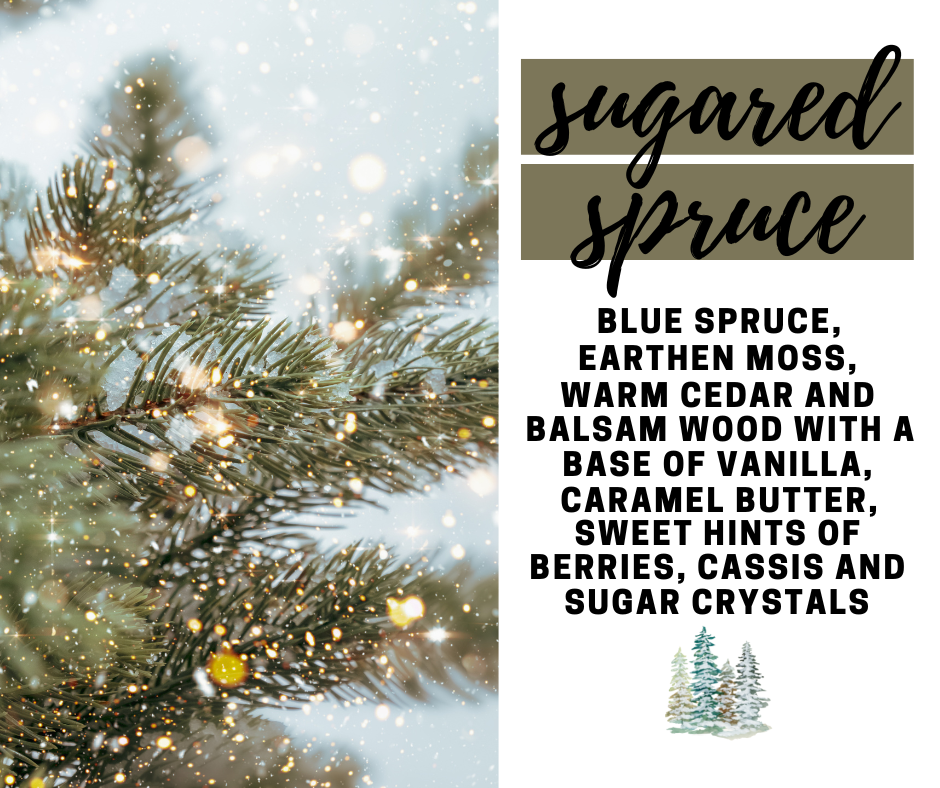 Sugared Spruce Fragrance Oil - Potpourri Refresher Oils - 1 oz (30 ml) Concentrated Fragrance Oils - Glass Amber Bottle with Dropper