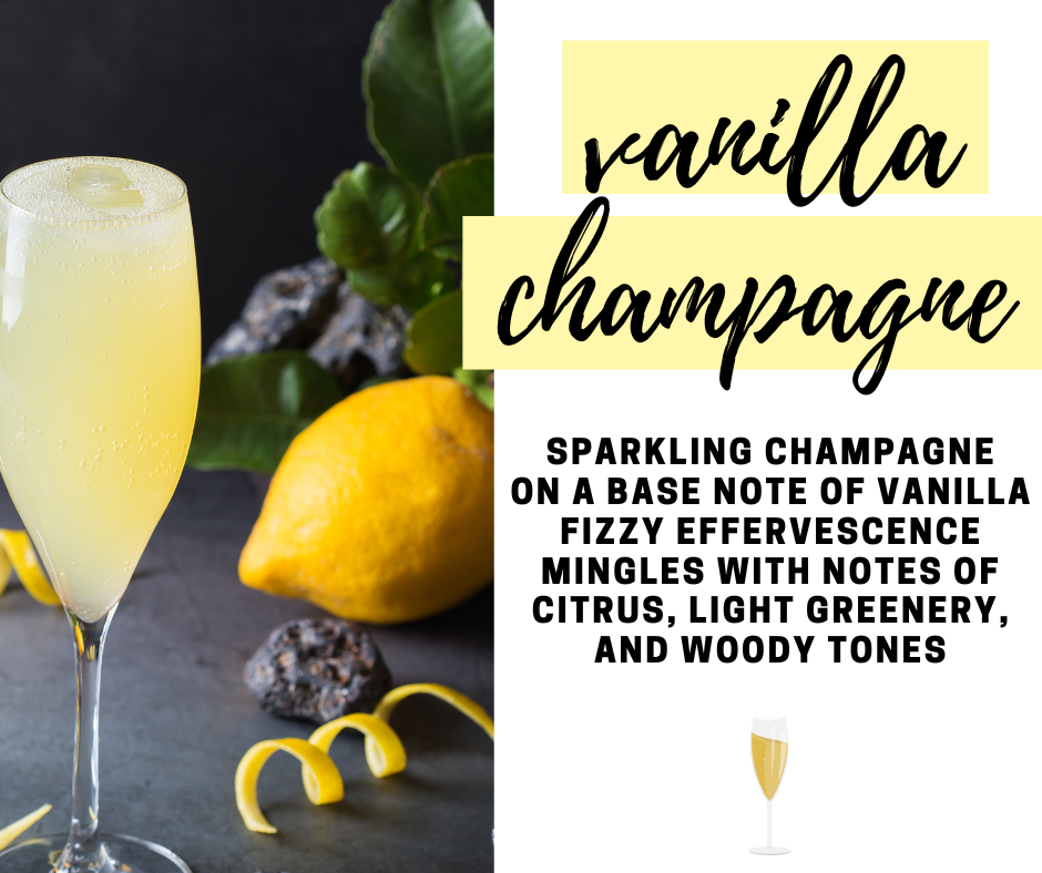 Vanilla Champagne Fragrance Oil - Potpourri Refresher Oils - 1 oz (30 ml) Concentrated Fragrance Oils - Glass Amber Bottle with Dropper