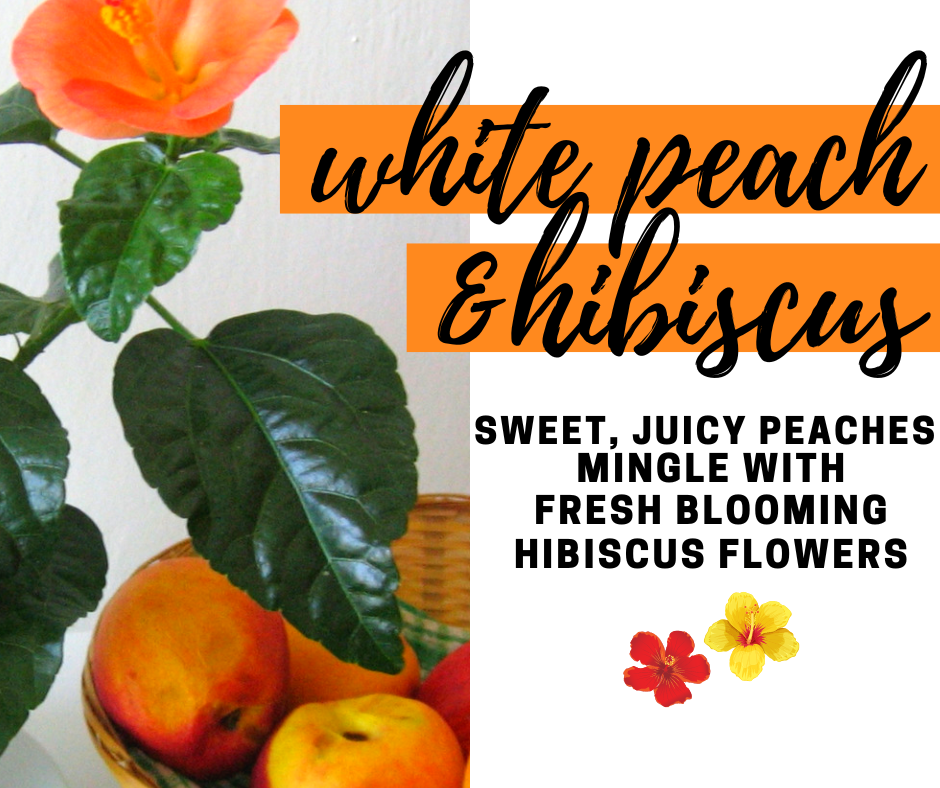 White Peach and Hibiscus Fragrance Oil - Potpourri Refresher Oils - 1 oz (30 ml) Concentrated Fragrance Oils - Glass Amber Bottle with Dropper