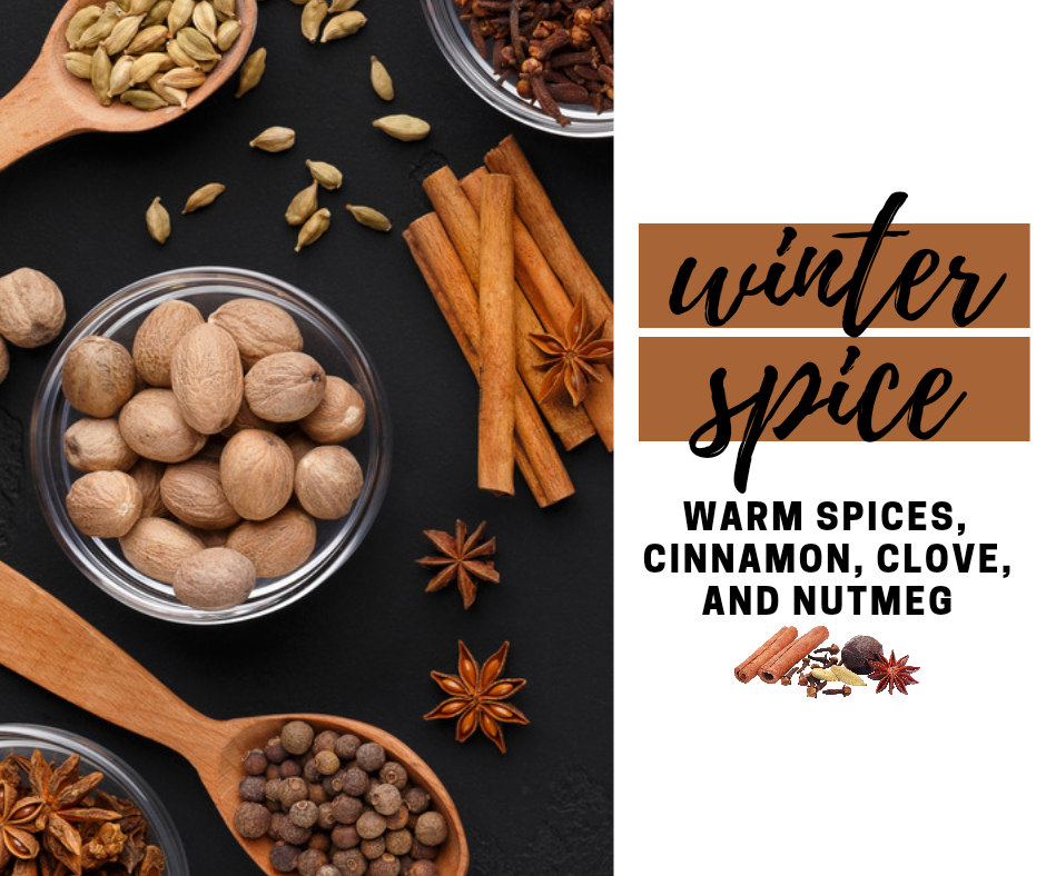 Winter Spice Fragrance Oil - Potpourri Refresher Oils - 1 oz (30 ml) Concentrated Fragrance Oils - Glass Amber Bottle with Dropper