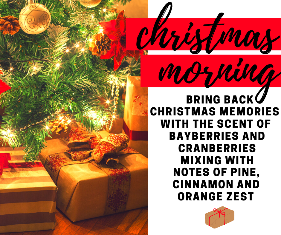 Christmas Morning Fragrance Oil - Potpourri Refresher Oils - 1 oz (30 ml) Concentrated Fragrance Oils - Glass Amber Bottle with Dropper