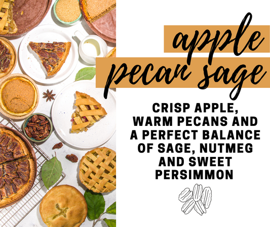 Apple Pecan Sage Fragrance Oil - Potpourri Refresher Oils - 1 oz (30 ml) Concentrated Fragrance Oils - Glass Amber Bottle with Dropper