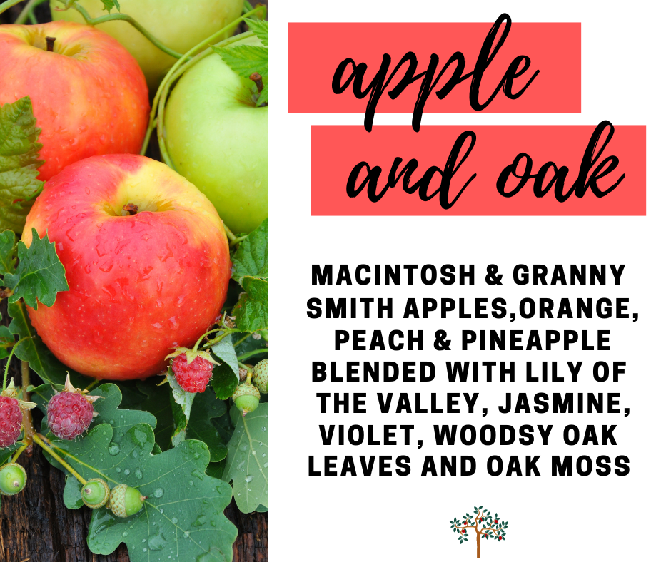 Apple and Oak Fragrance Oil - Potpourri Refresher Oils - 1 oz (30 ml) Concentrated Fragrance Oils - Glass Amber Bottle with Dropper