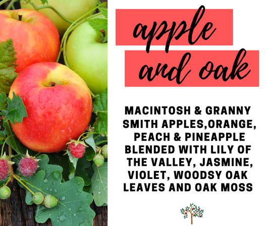 Apple and Oak Fragrance Oil - Potpourri Refresher Oils - 1 oz (30 ml) Concentrated Fragrance Oils - Glass Amber Bottle with Dropper