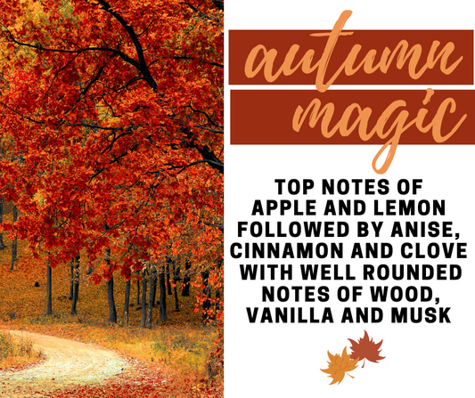 Autumn Magic Fragrance Oil - Potpourri Refresher Oils - 1 oz (30 ml) Concentrated Fragrance Oils - Glass Amber Bottle with Dropper