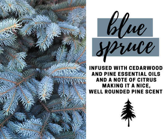 Blue Spruce Fragrance Oil - Potpourri Refresher Oils - 1 oz (30 ml) Concentrated Fragrance Oils - Glass Amber Bottle with Dropper