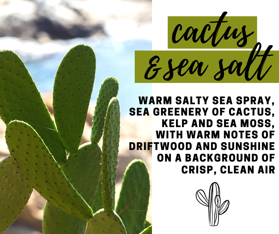 Cactus and Sea Salt Fragrance Oil - Potpourri Refresher Oils - 1 oz (30 ml) Concentrated Fragrance Oils - Glass Amber Bottle with Dropper