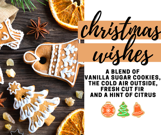 Christmas Wishes Fragrance Oil - Potpourri Refresher Oils - 1 oz (30 ml) Concentrated Fragrance Oils - Glass Amber Bottle with Dropper