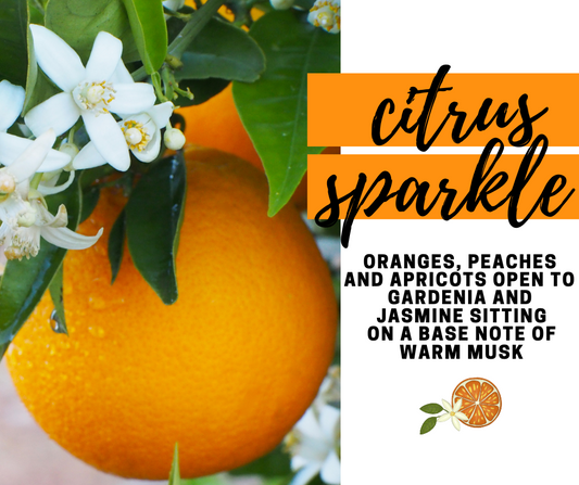 Citrus Sparkle Fragrance Oil - Potpourri Refresher Oils - 1 oz (30 ml) Concentrated Fragrance Oils - Glass Amber Bottle with Dropper