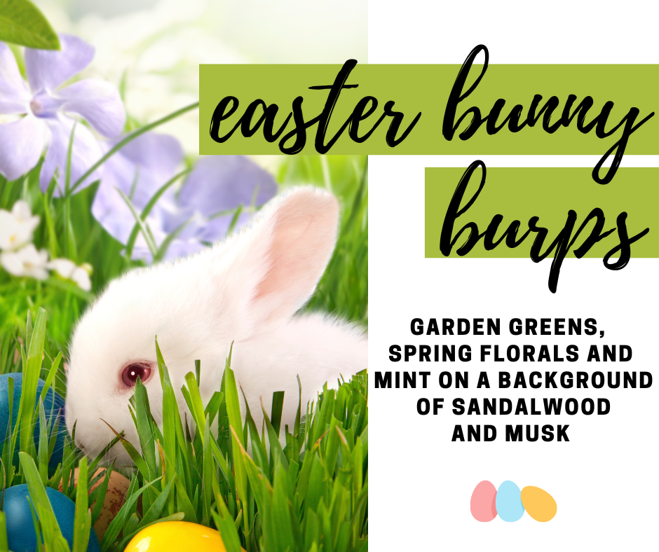 Easter Bunny Burps Fragrance Oil - Potpourri Refresher Oils - 1 oz (30 ml) Concentrated Fragrance Oils - Glass Amber Bottle with Dropper