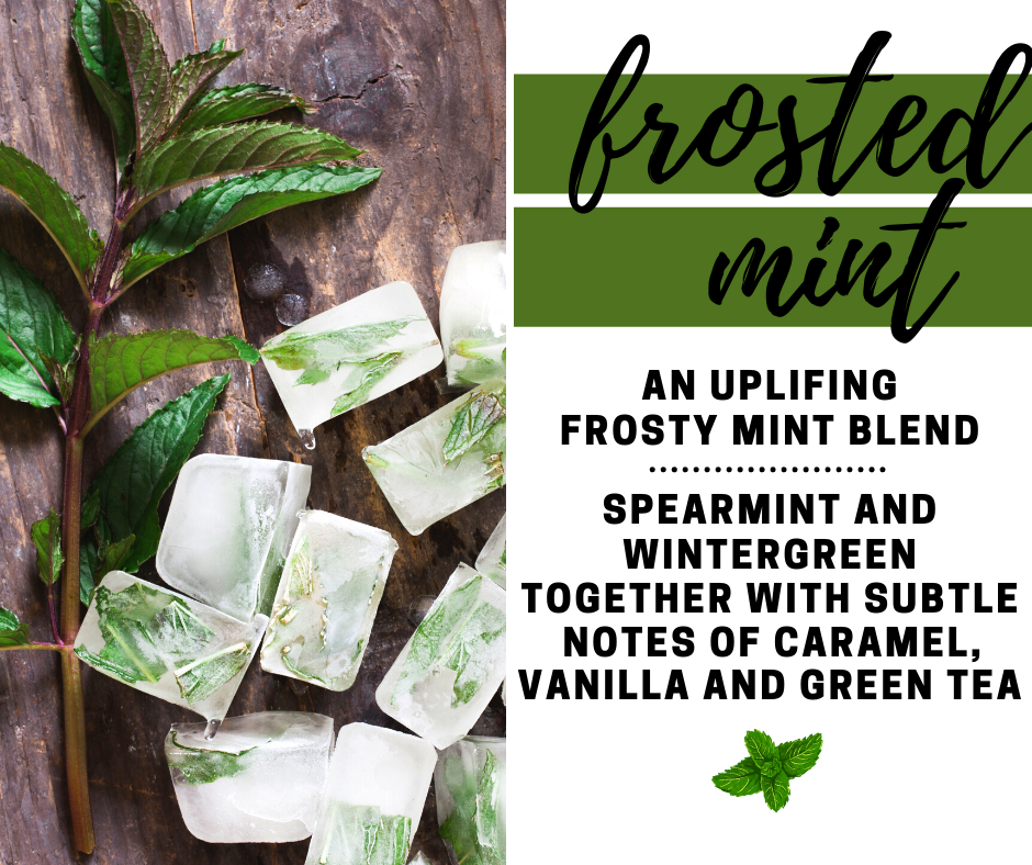 Frosted Mint Fragrance Oil - Potpourri Refresher Oils - 1 oz (30 ml) Concentrated Fragrance Oils - Glass Amber Bottle with Dropper