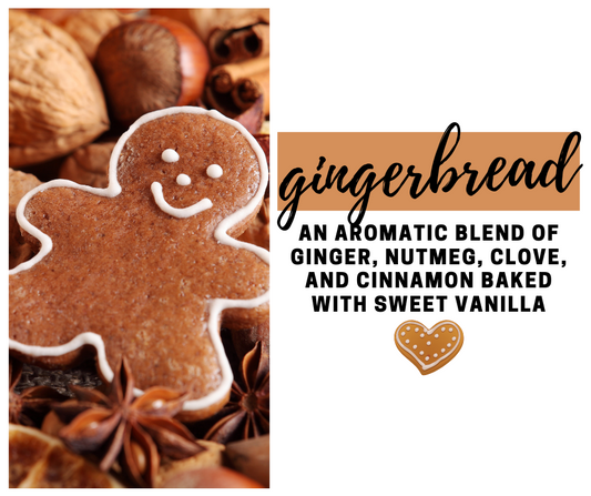 Gingerbread Fragrance Oil - Potpourri Refresher Oils - 1 oz (30 ml) Concentrated Fragrance Oils - Glass Amber Bottle with Dropper