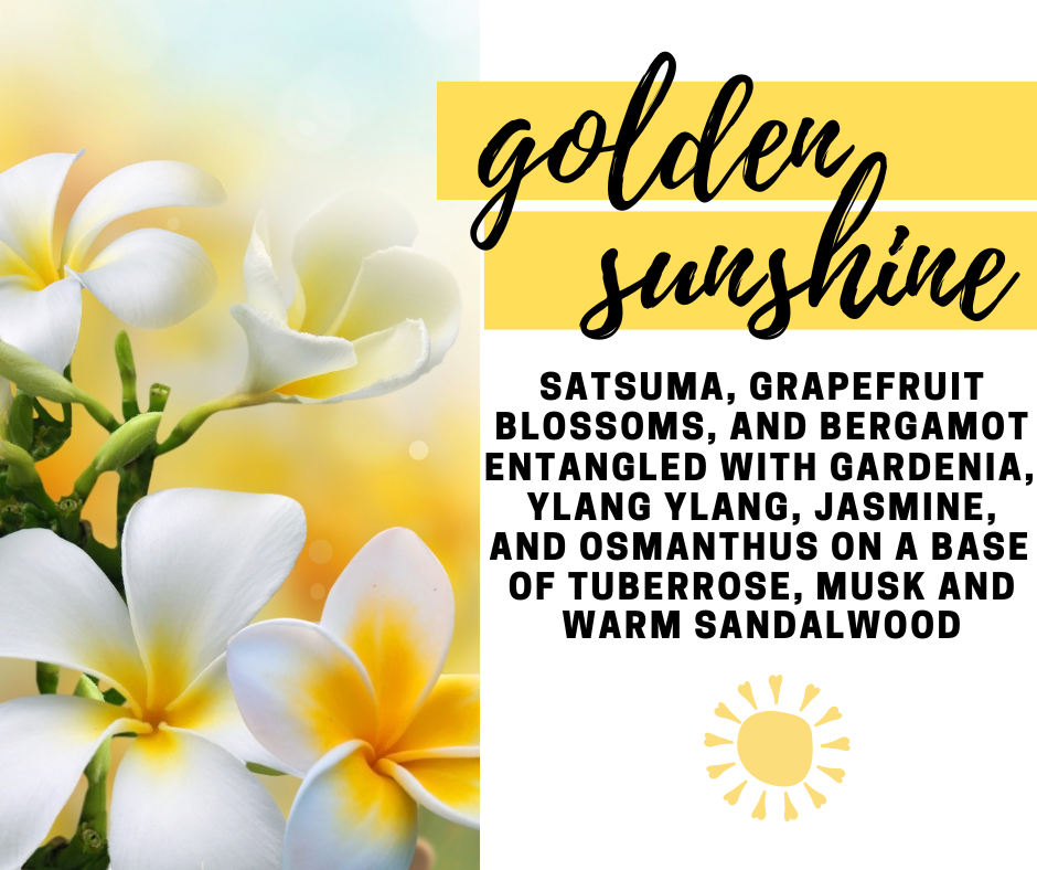Golden Sunshine Fragrance Oil - Potpourri Refresher Oils - 1 oz (30 ml) Concentrated Fragrance Oils - Glass Amber Bottle with Dropper