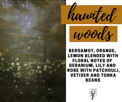 Haunted Woods Fragrance Oil - Potpourri Refresher Oils - 1 oz (30 ml) Concentrated Fragrance Oils - Glass Amber Bottle with Dropper