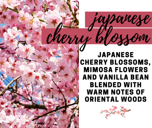 Japanese Cherry Blossom Fragrance Oil - Potpourri Refresher Oils - 1 oz (30 ml) Concentrated Fragrance Oils - Glass Amber Bottle with Dropper