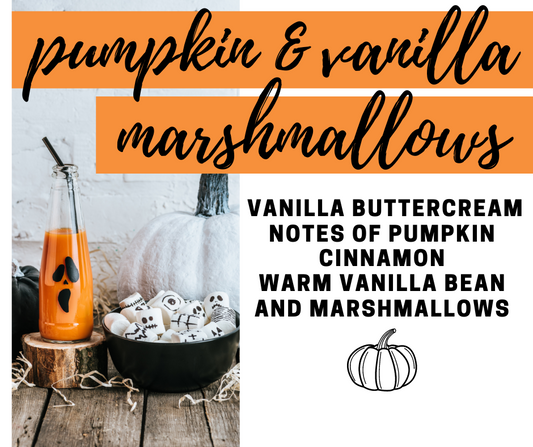 Pumpkin with Vanilla Marshmallows Fragrance Oil - Potpourri Refresher Oils - 1 oz (30 ml) Concentrated Fragrance Oils - Glass Amber Bottle with Dropper
