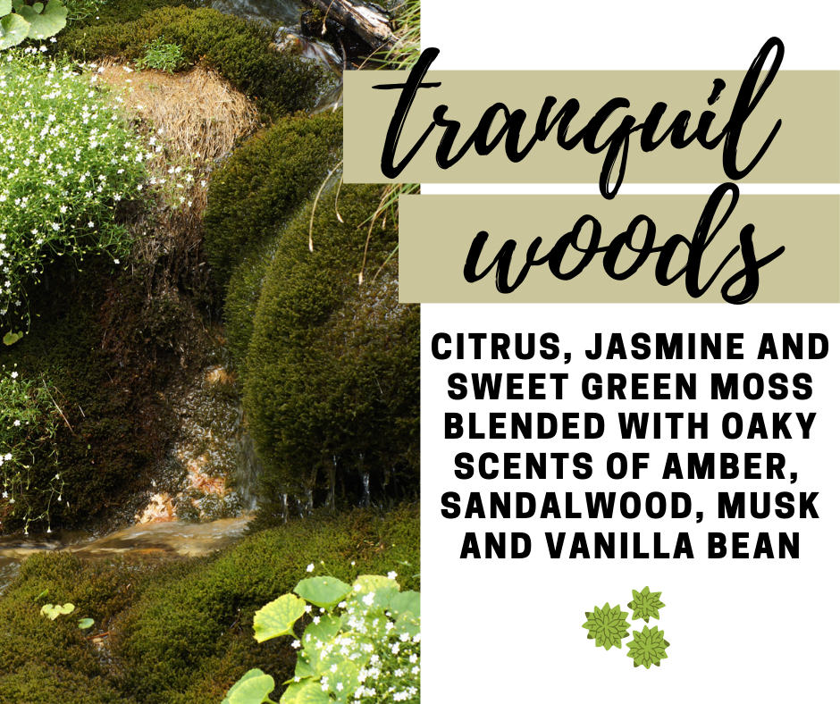 Tranquil Woods Fragrance Oil - Potpourri Refresher Oils - 1 oz (30 ml) Concentrated Fragrance Oils - Glass Amber Bottle with Dropper