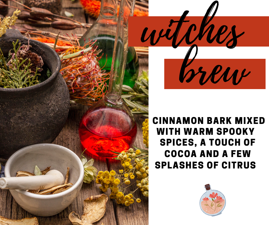 Witches Brew Fragrance Oil - Potpourri Refresher Oils - 1 oz (30 ml) Concentrated Fragrance Oils - Glass Amber Bottle with Dropper