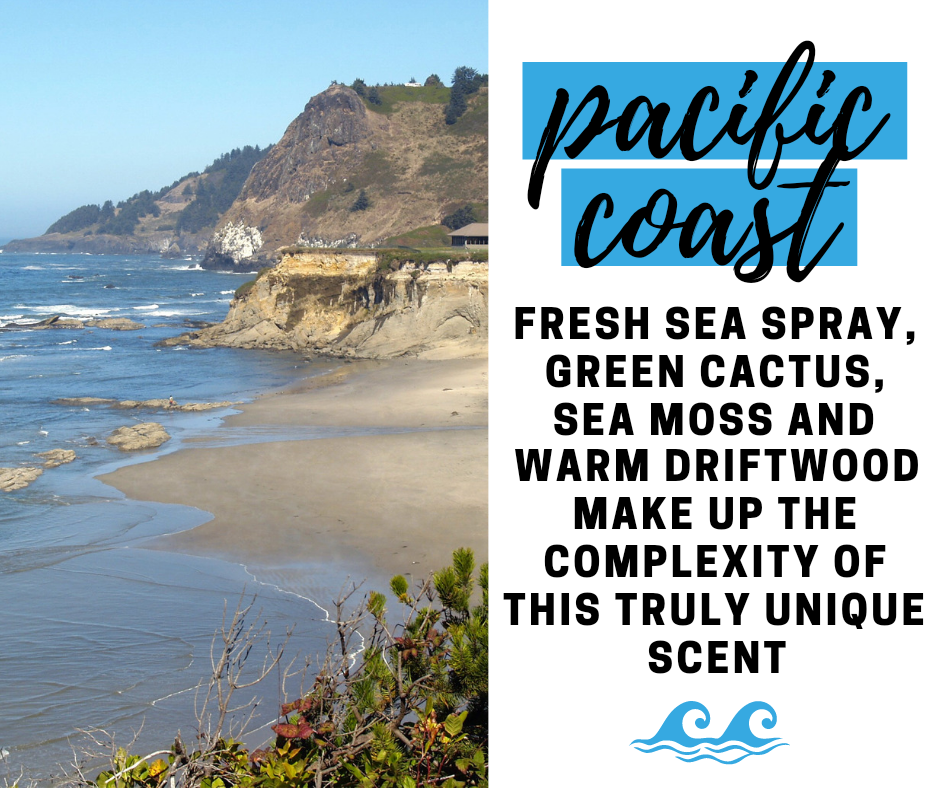 Pacific Coast Fragrance Oil - Potpourri Refresher Oils - 1 oz (30 ml) Concentrated Fragrance Oils - Glass Amber Bottle with Dropper