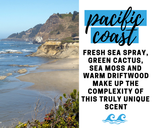 Pacific Coast Fragrance Oil - Potpourri Refresher Oils - 1 oz (30 ml) Concentrated Fragrance Oils - Glass Amber Bottle with Dropper