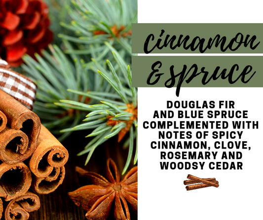 Cinnamon and Spruce Fragrance Oil - Potpourri Refresher Oils - 1 oz (30 ml) Concentrated Fragrance Oils - Glass Amber Bottle with Dropper