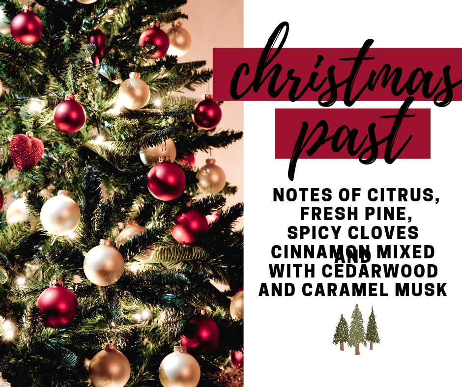 Christmas Past Fragrance Oil - Potpourri Refresher Oils - 1 oz (30 ml) Concentrated Fragrance Oils - Glass Amber Bottle with Dropper