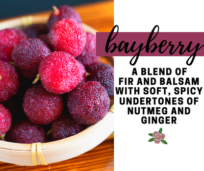 Bayberry Fragrance Oil - Potpourri Refresher Oils - 1 oz (30 ml) Concentrated Fragrance Oils - Glass Amber Bottle with Dropper