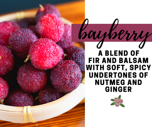 Bayberry Fragrance Oil - Potpourri Refresher Oils - 1 oz (30 ml) Concentrated Fragrance Oils - Glass Amber Bottle with Dropper