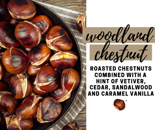 Woodland Chestnut Fragrance Oil - Potpourri Refresher Oils - 1 oz (30 ml) Concentrated Fragrance Oils - Glass Amber Bottle with Dropper