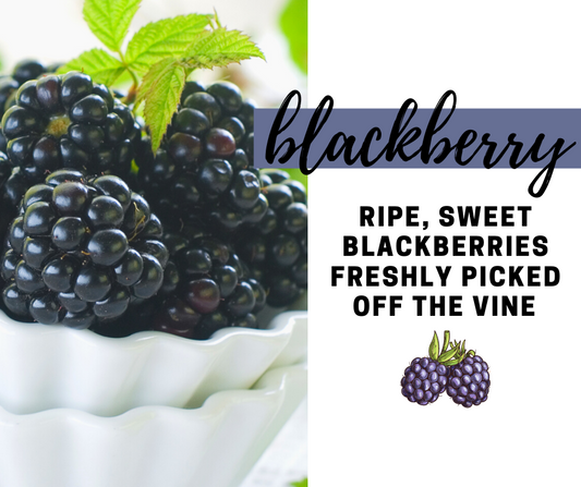 Blackberry Fragrance Oil - Potpourri Refresher Oils - 1 oz (30 ml) Concentrated Fragrance Oils - Glass Amber Bottle with Dropper