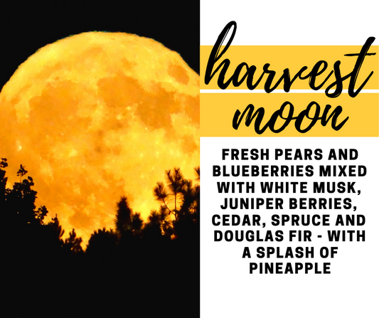 Harvest Moon Fragrance Oil - Potpourri Refresher Oils - 1 oz (30 ml) Concentrated Fragrance Oils - Glass Amber Bottle with Dropper